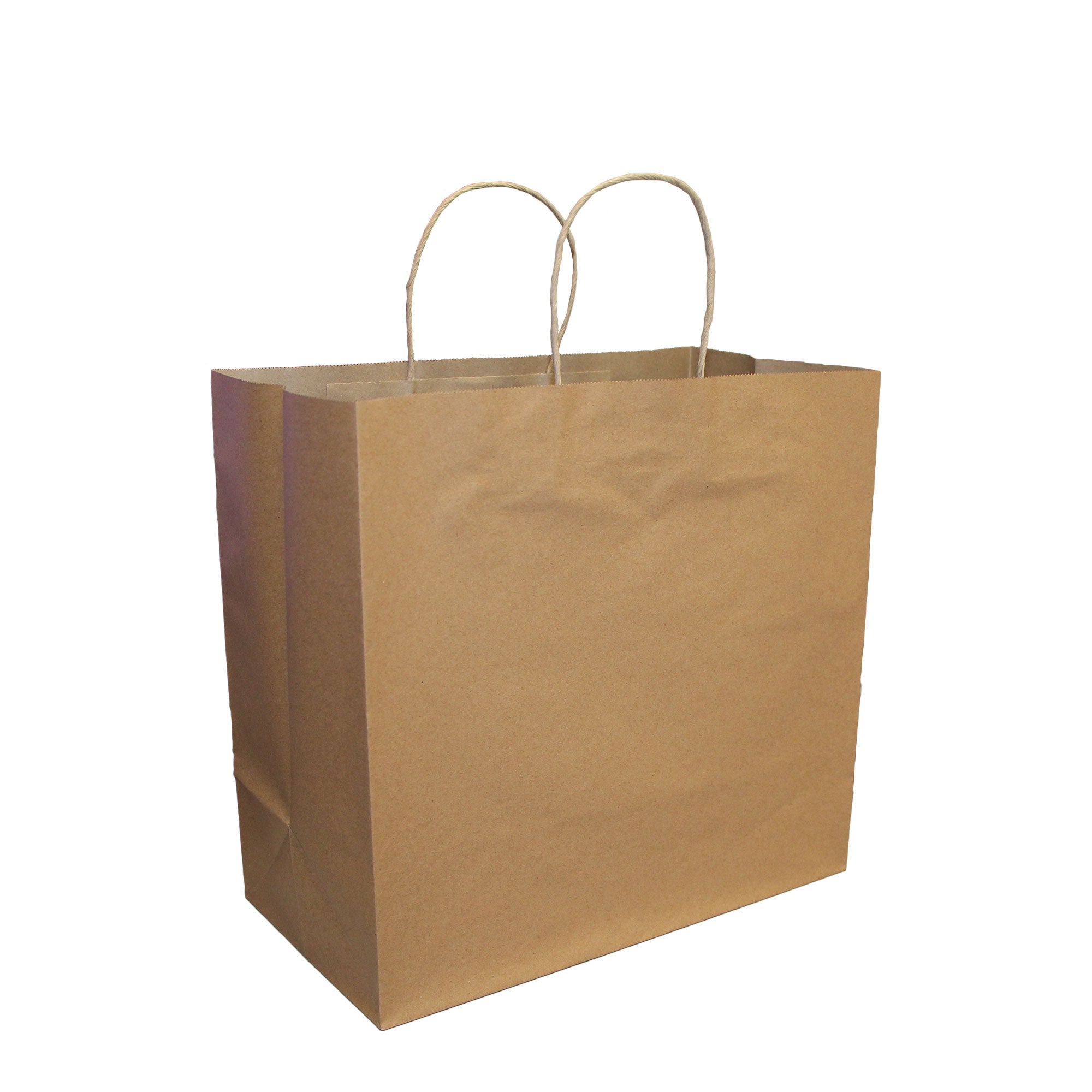 Viro - 10″ x 5″ x 13″ Paper Shopping Bags with Twisted Handles, 250/Case - 0190020