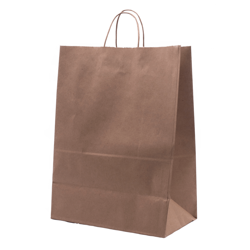 RiteEarth - 13" x 7" x 13" Kraft Paper Twist Handle Bag, 250/Cs , 16Cs/Sk - PT13713K