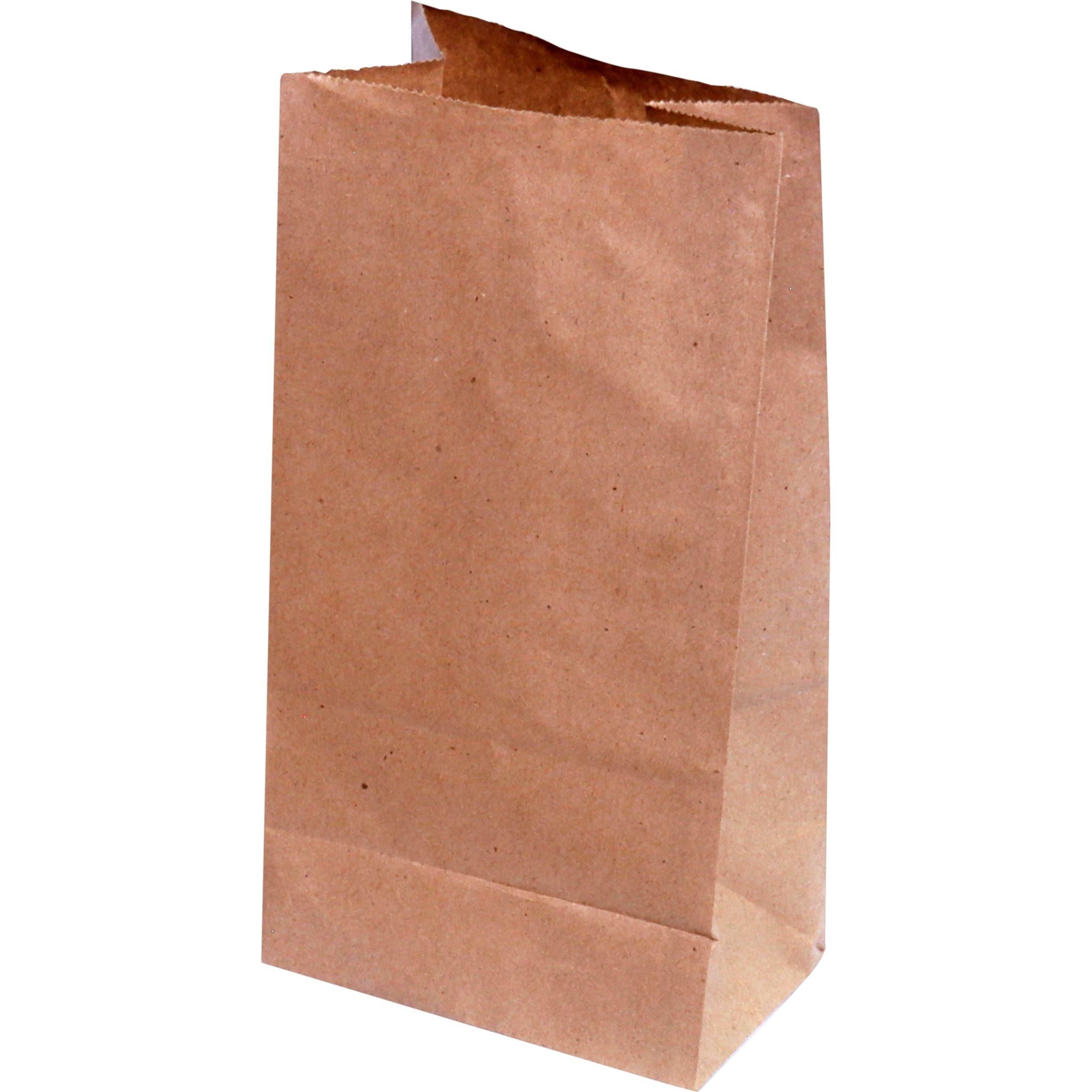 RiteEarth - 5 lb Paper Bag Kraft, 500/Bn - PB050K