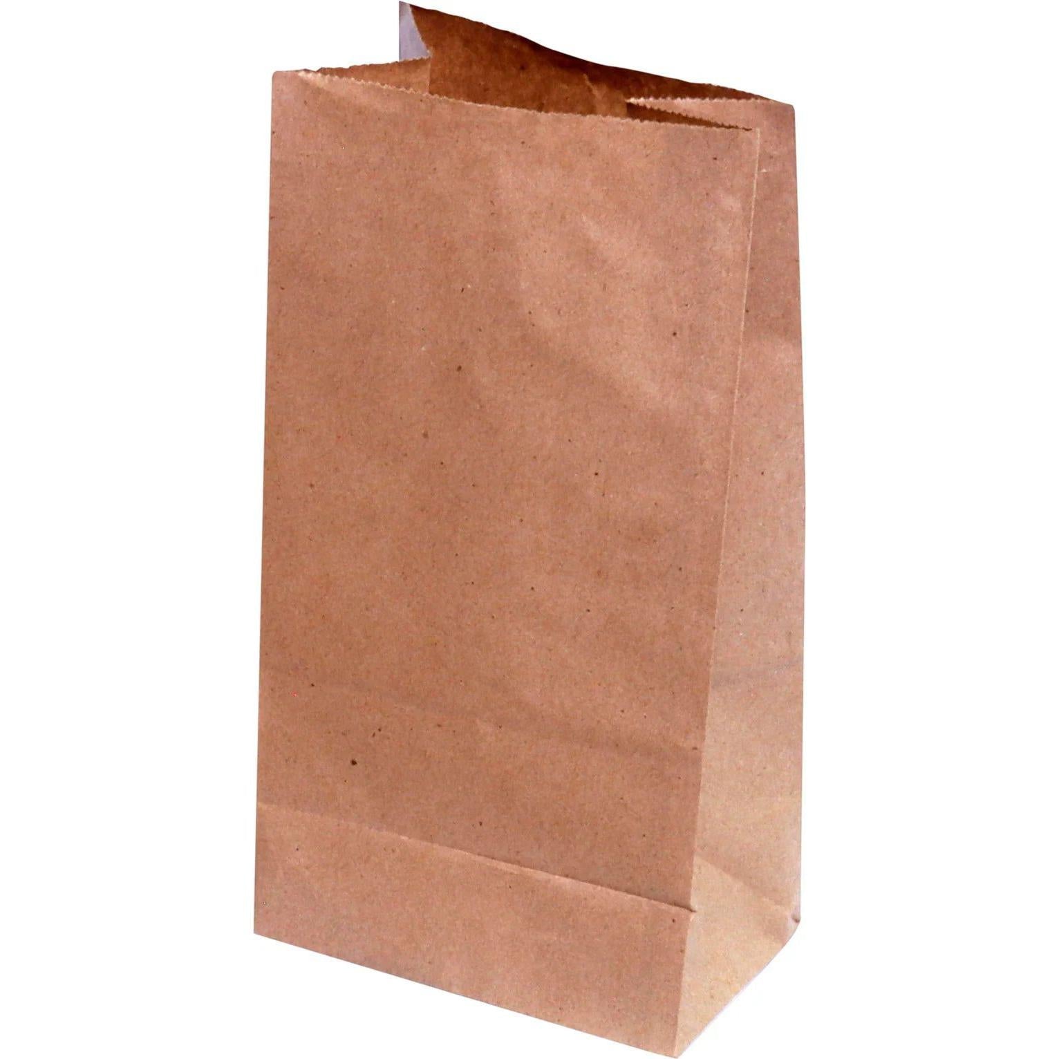 RiteEarth - 12 lb Paper Bag Kraft, 500/Bn - PB120K