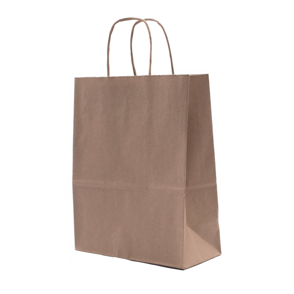 RiteEarth - 8" x 4.5" x 10.75" Kraft Paper Twist Handle Bag, 250/Cs, 42Cs/sk, 7 Cs/Tier - PT08410K