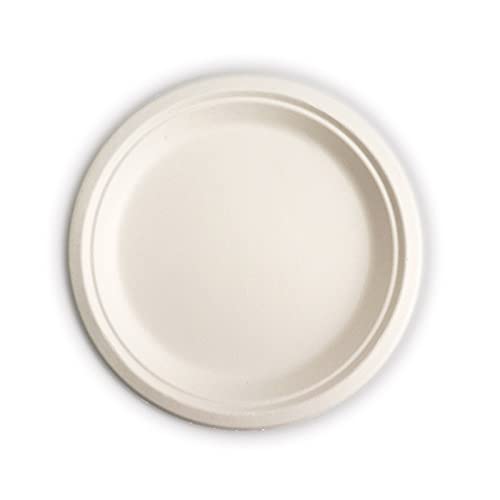 RiteEarth - 6" Bagasse Round Plates, Pack of 125, 1000/cs, 144Cs/Sk - P060