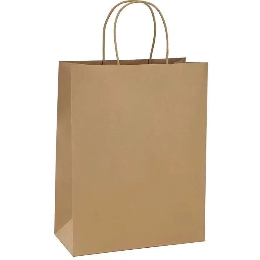 RiteEarth - 14" x 10" x 15.75" Kraft Paper Twist Bag, Pack of 200 - NK141015